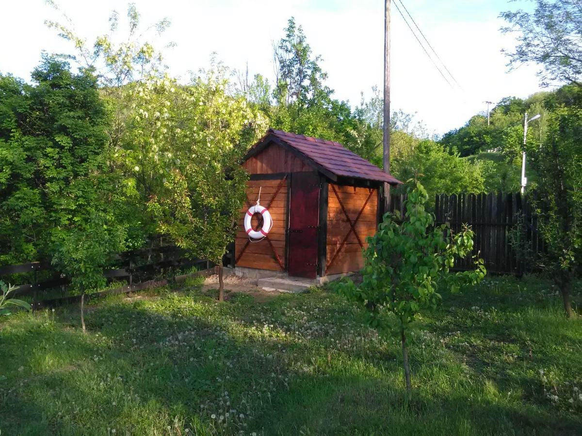 Carobni Breg Villa Golubac Bagian luar foto