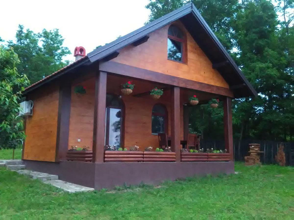 Carobni Breg Villa Golubac Bagian luar foto