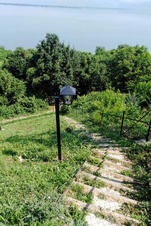 Carobni Breg Villa Golubac Bagian luar foto