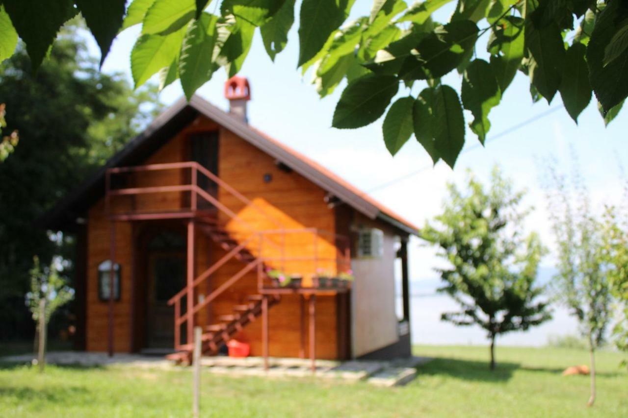 Carobni Breg Villa Golubac Bagian luar foto