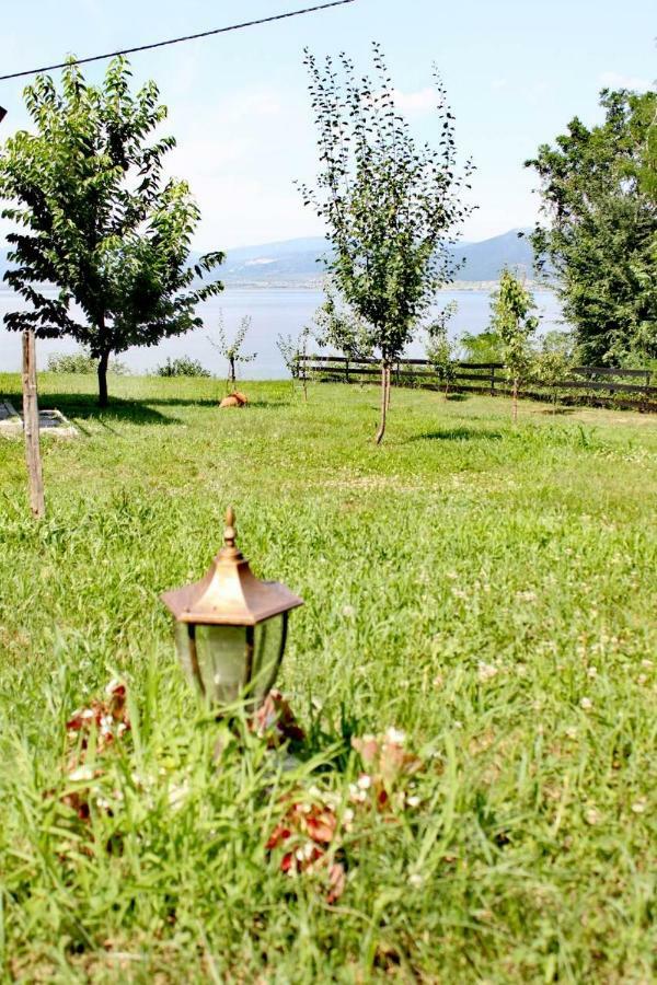 Carobni Breg Villa Golubac Bagian luar foto